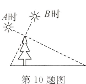 第 10 题图