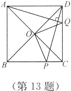 第13题