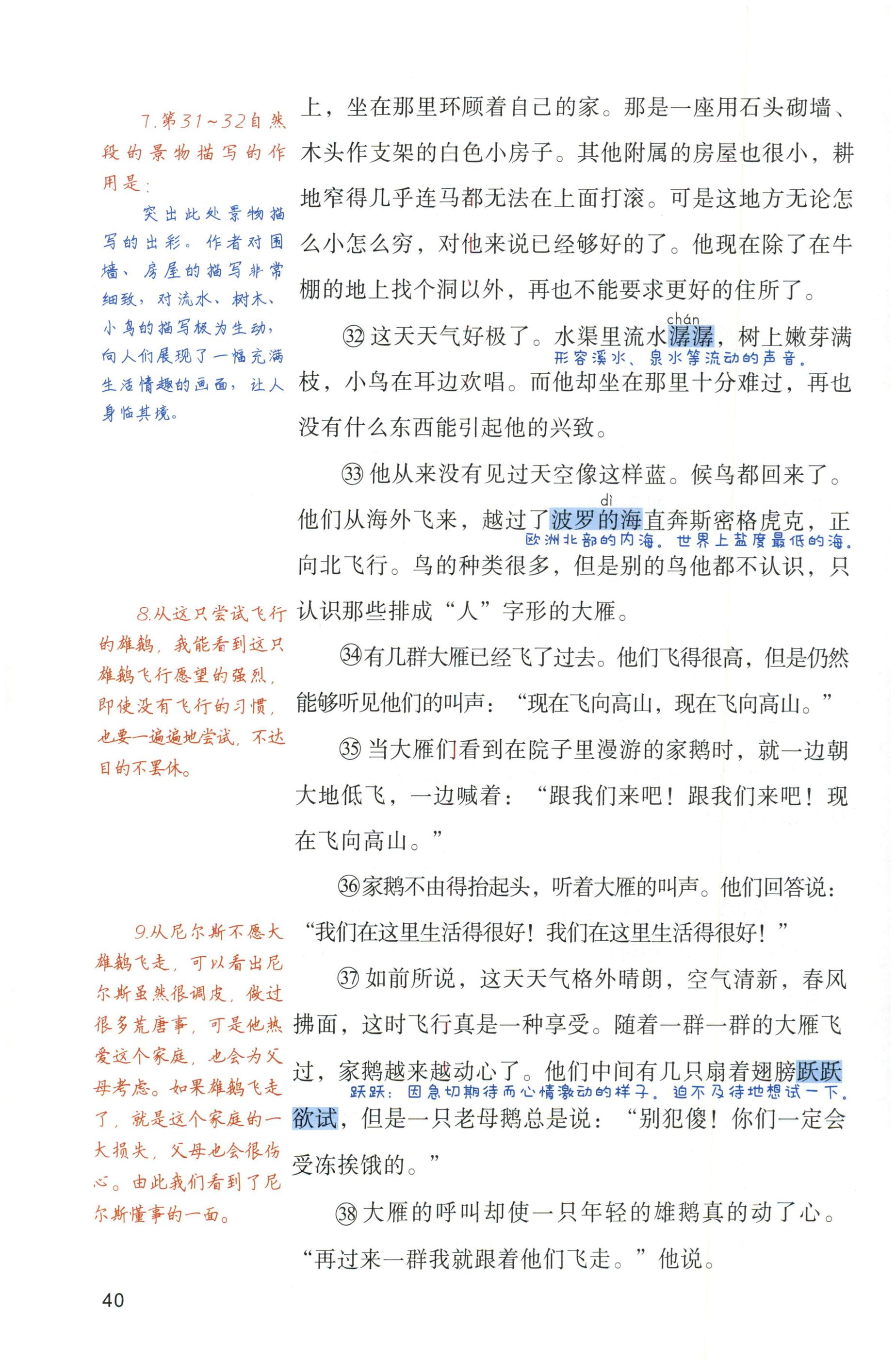 第40页
