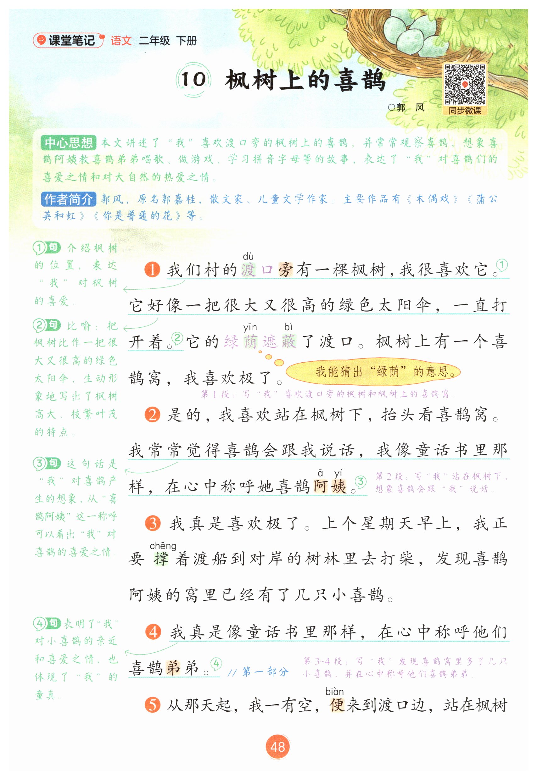 第48页