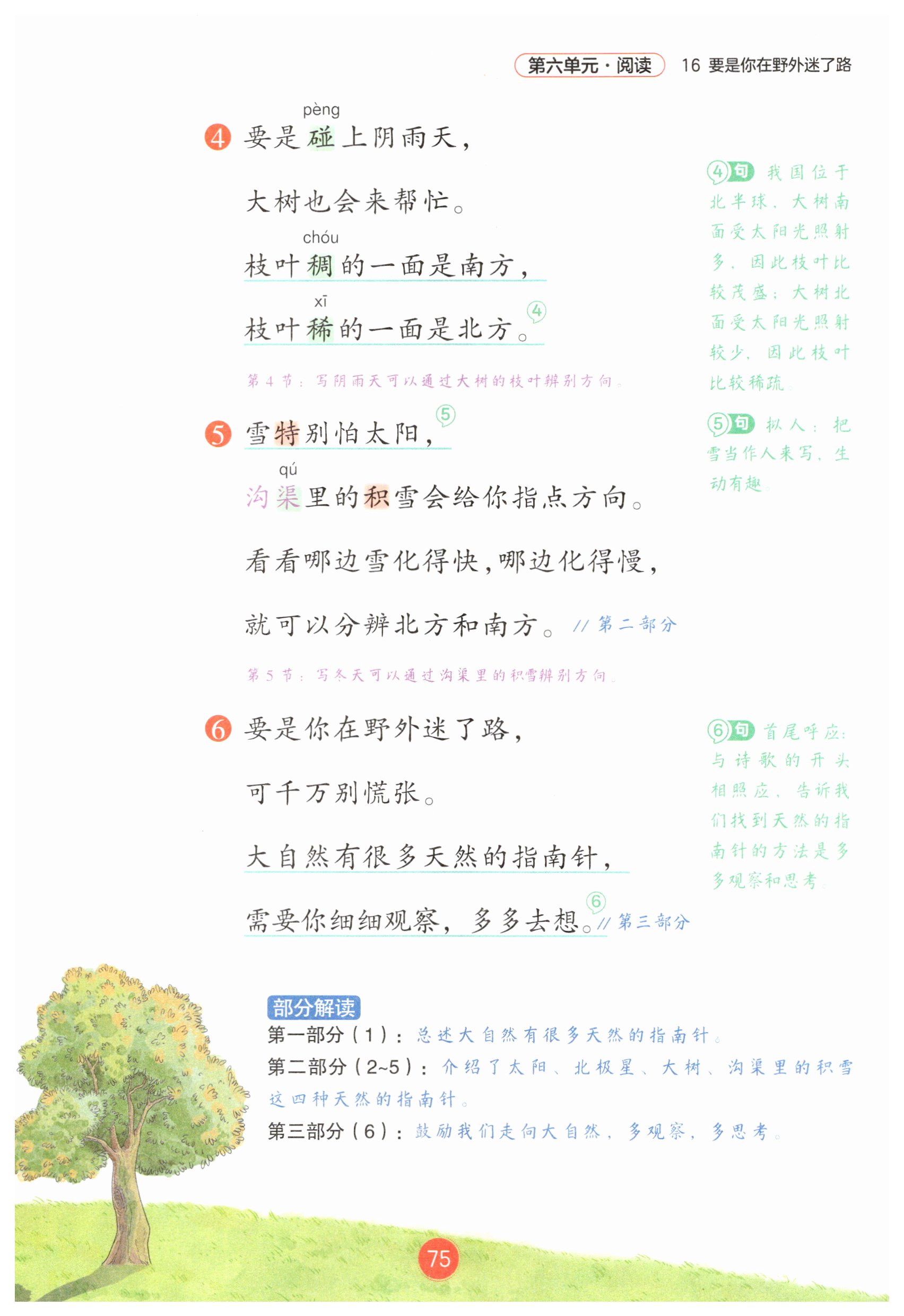 第75页