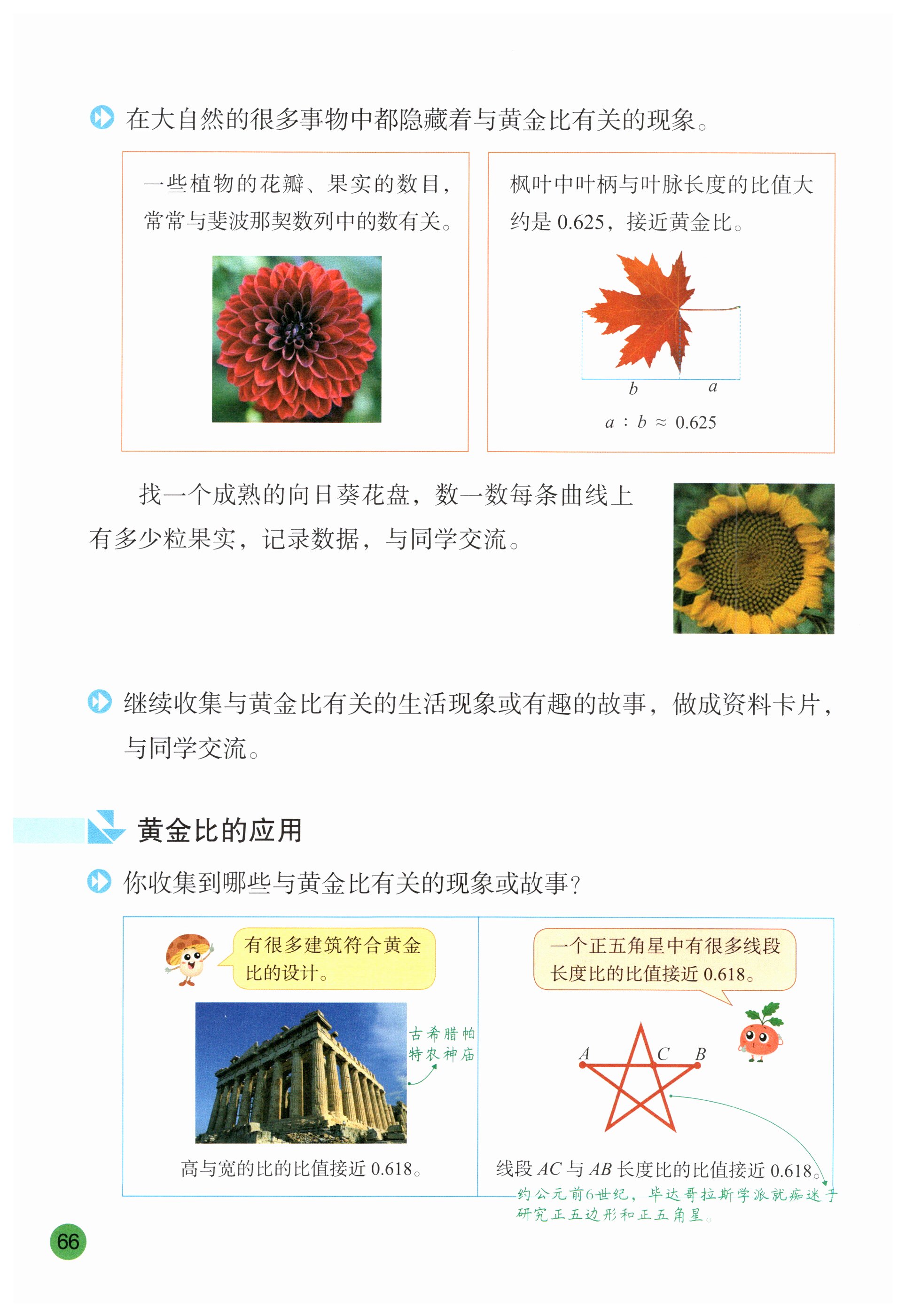 第66页