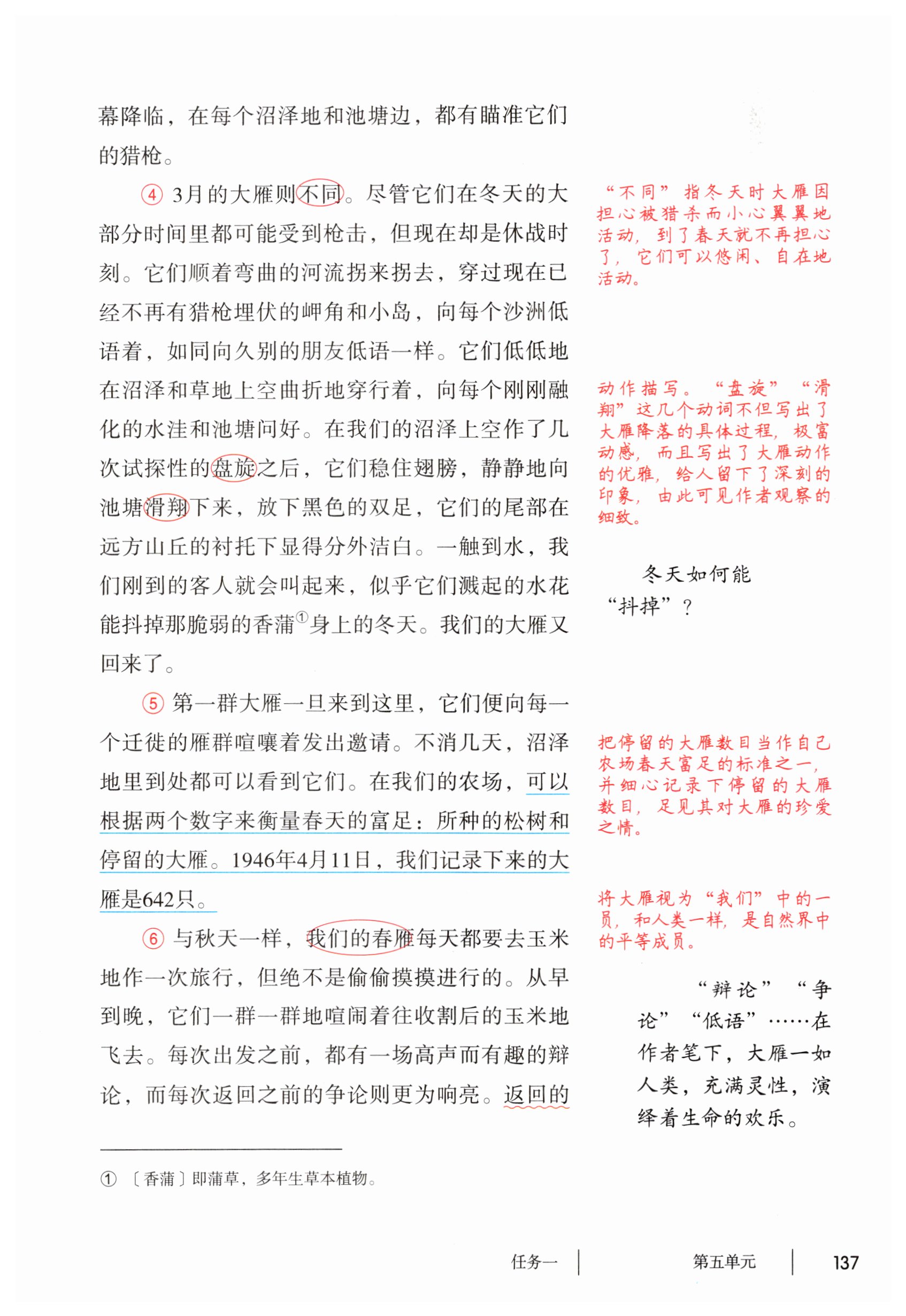 第137页