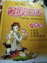 暑假生活湖南少年儿童出版社八年级语数英综合