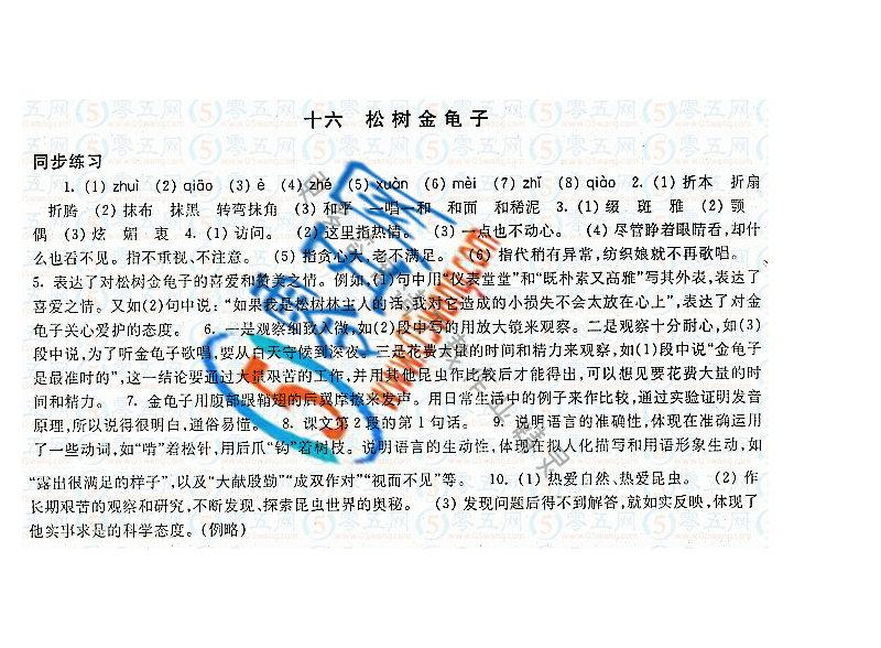 松树金龟子学习与评价答案