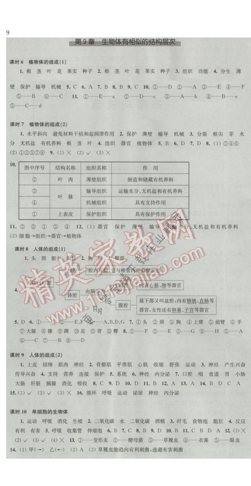 第9章生物体有相似的结构层次同步练习答案