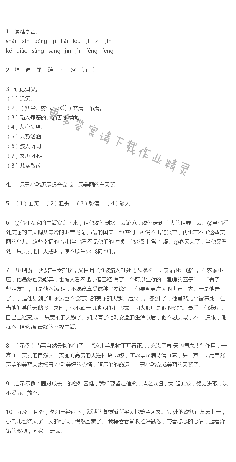 丑小鸭全品学练考答案