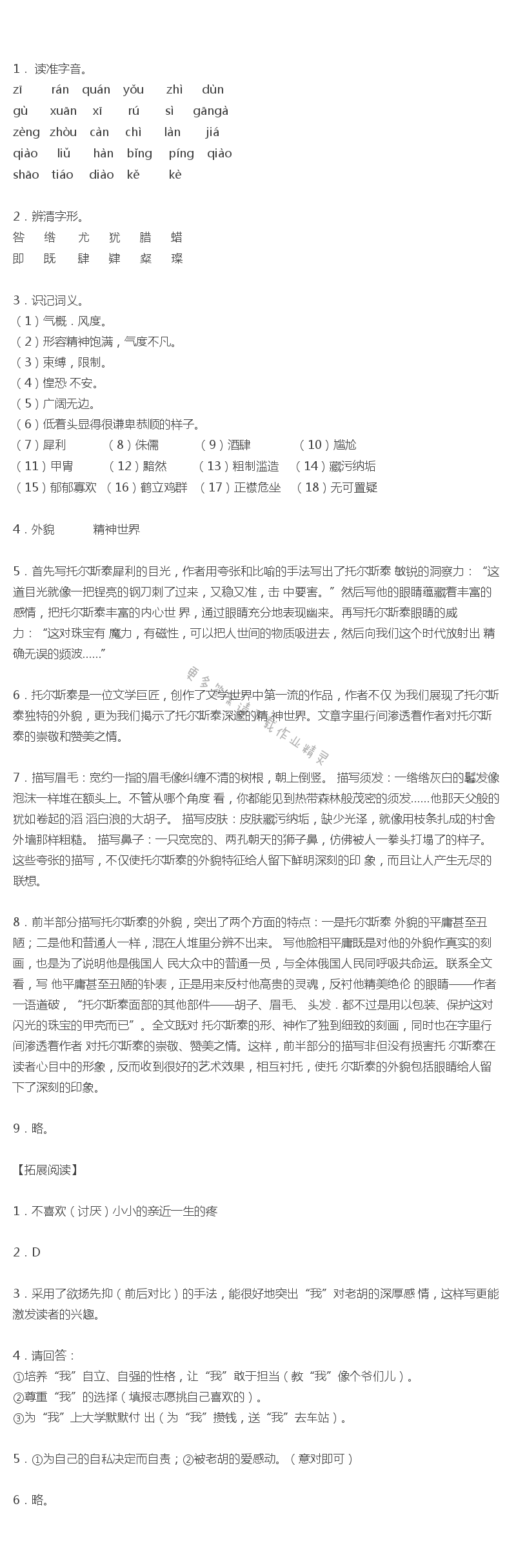 列夫托尔斯泰全品学练考答案