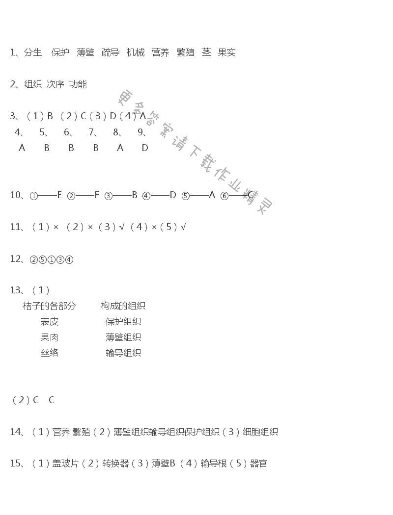 第9章课时4生物体的组成课课练答案