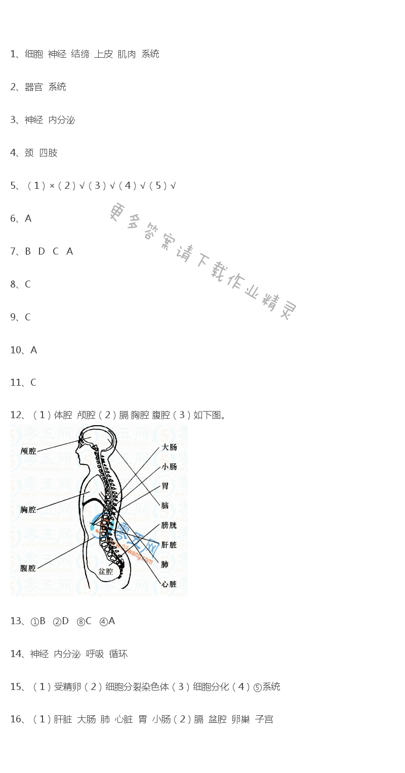 第9章课时5人体的组成课课练答案