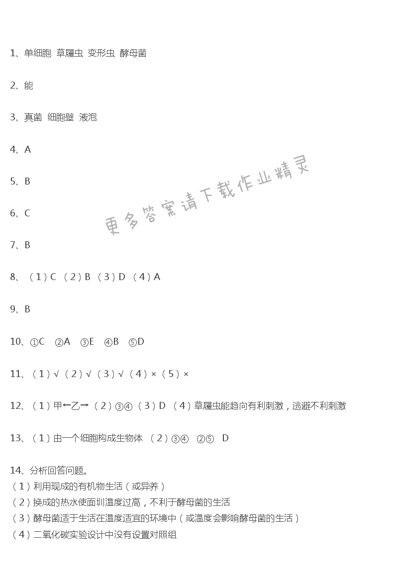 第9章课时6单细胞的生物体课课练答案