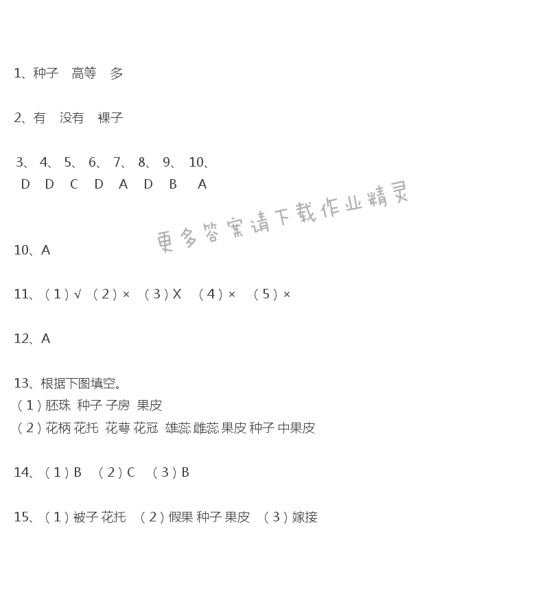 第11章课时4地面上的植物（1）课课练答案