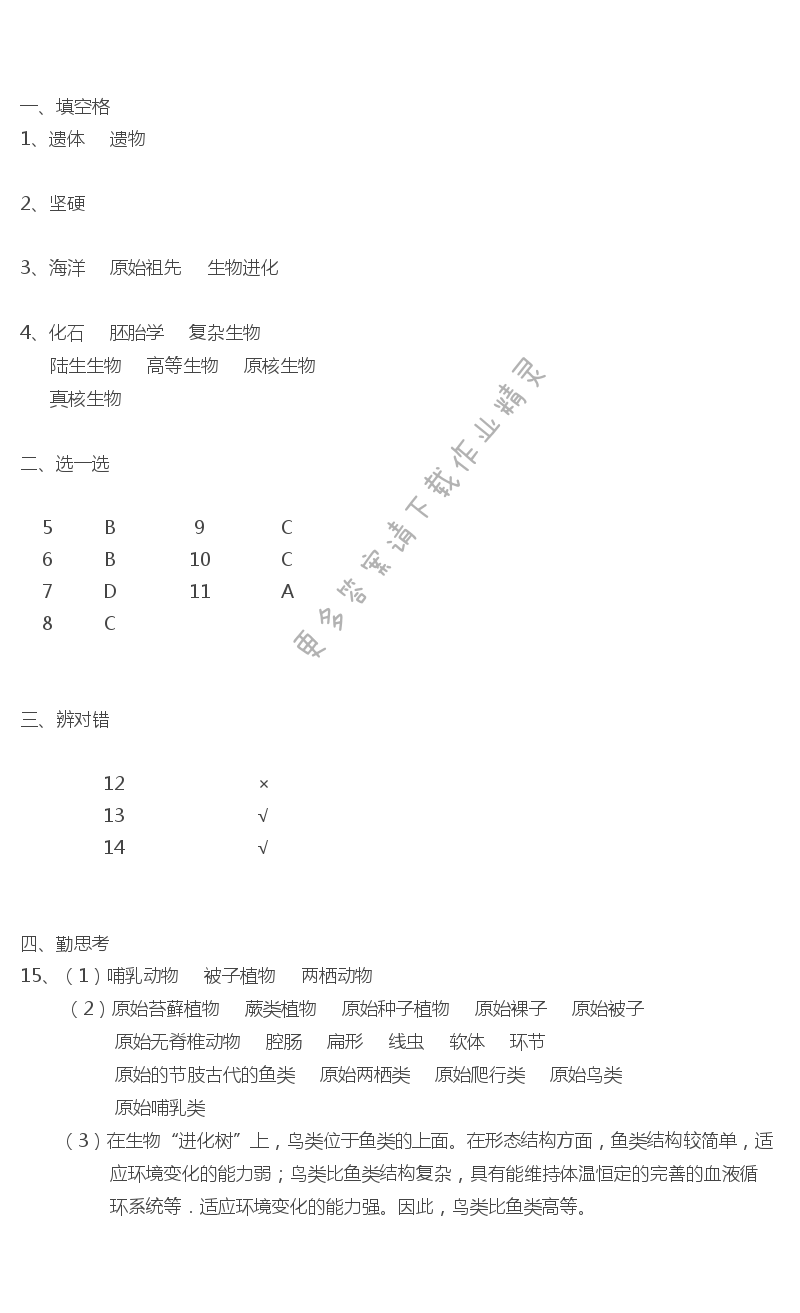 第23章第二节生物进化的历程补充习题答案