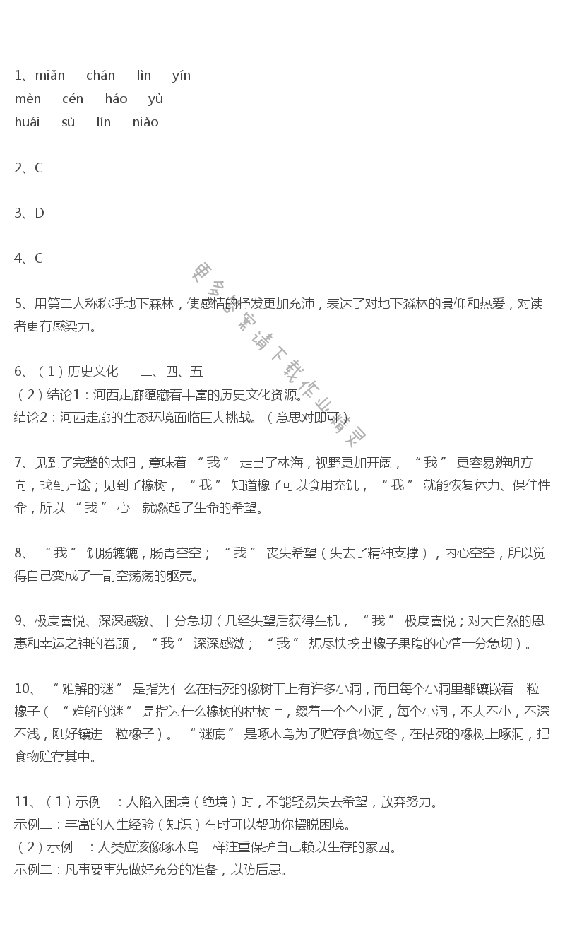 地下森林断想学练优答案