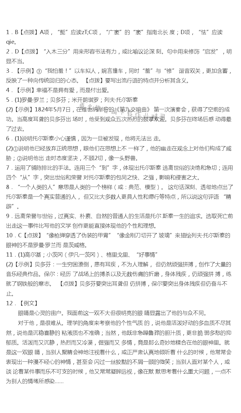 列夫·托尔斯泰综合检测高效课时通答案