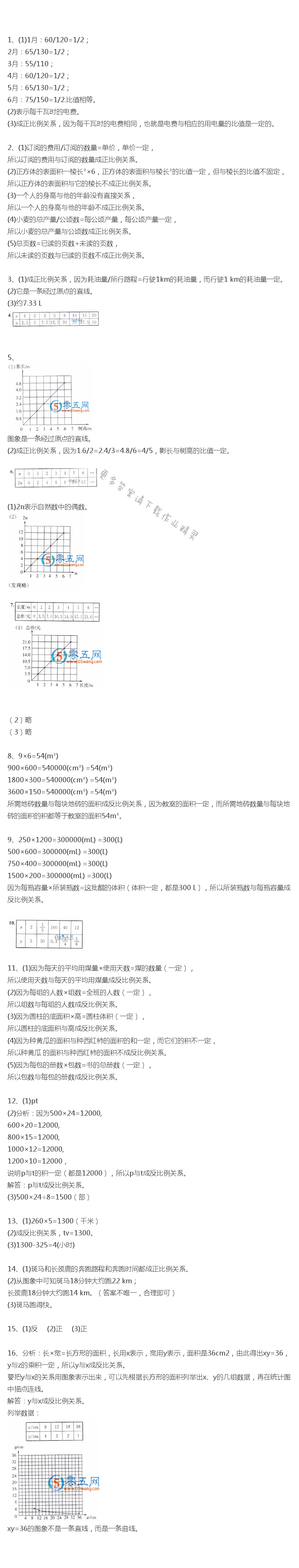 人教版六年级下册数学书练习九答案