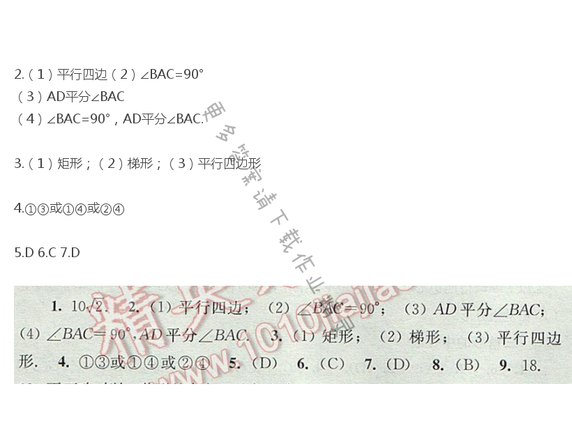 苏科版八年级初二下册数学补充习题答案第43页