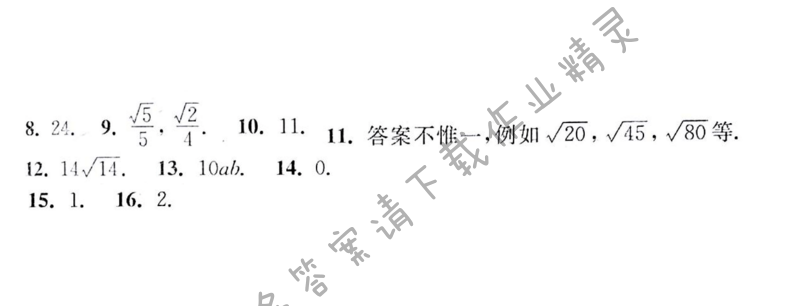 苏科版八年级初二下册数学补充习题答案第101页