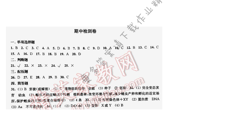 伴你学八年级生物下册苏教版期中检测卷