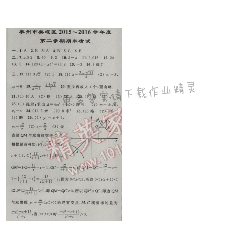 亮点给力八年级数学下册江苏版泰州市姜堰区