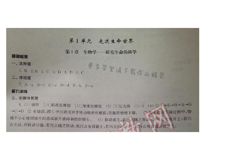 初中复习与能力训练生物第1章