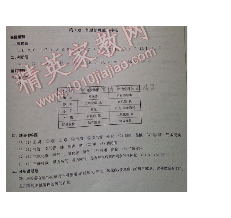 初中复习与能力训练生物第7章