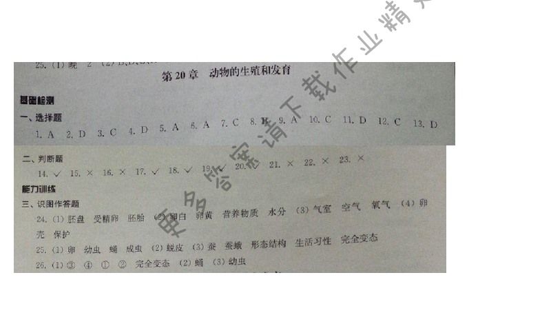 初中复习与能力训练生物第20章