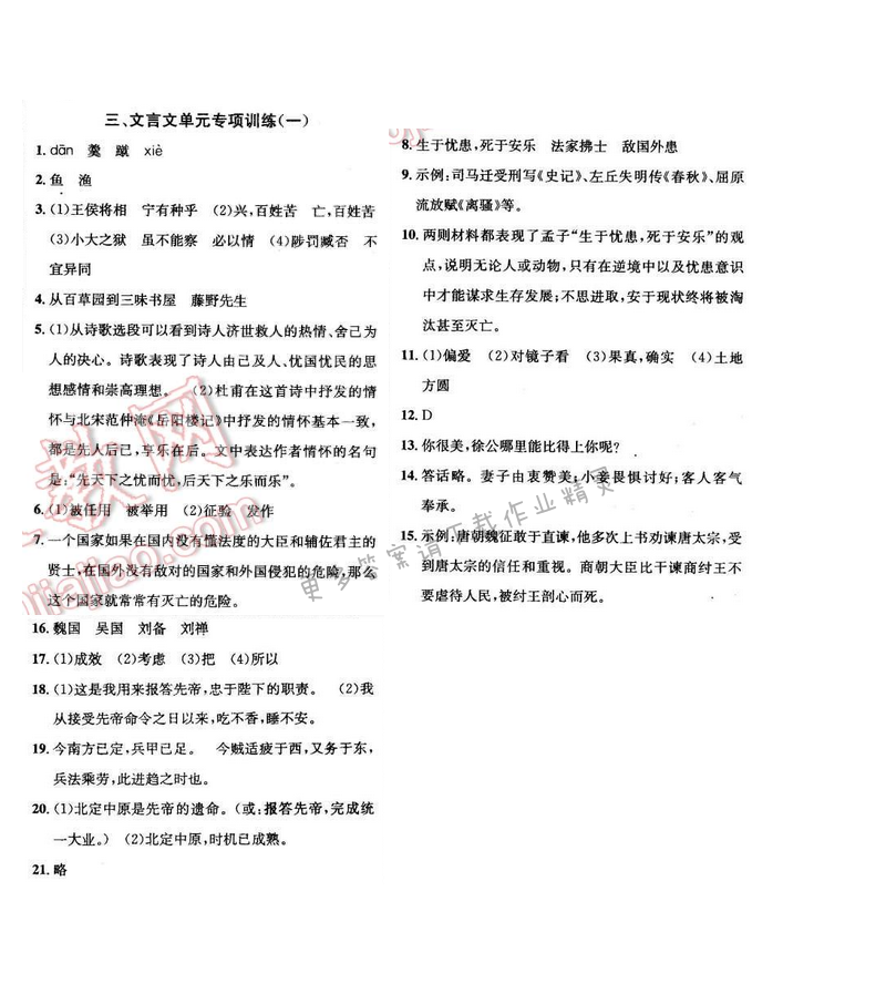 课时学案作业本九年级下册语文江苏版 专项训练三