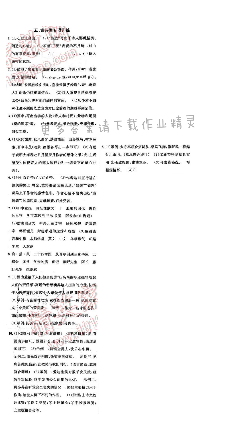 课时学案作业本九年级下册语文江苏版 专项训练五