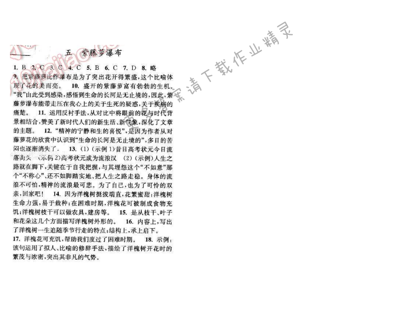 亮点给力提优课时语文八年级下册 第一单元 第五课
