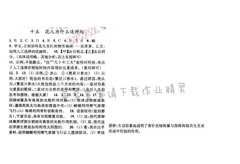 亮点给力提优课时语文八年级下册 第三单元 第十五课