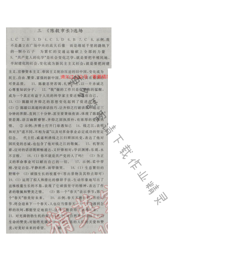 亮点给力提优课时语文九年级下册 第一单元 第三课