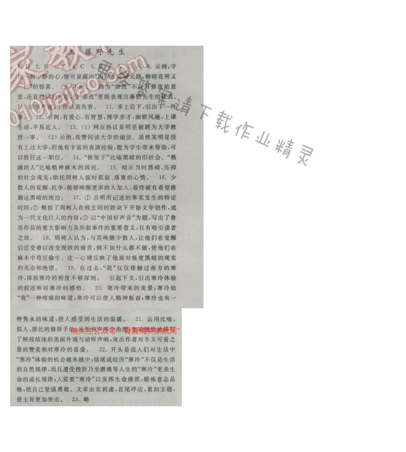 亮点给力提优课时语文九年级下册 第二单元 第五课