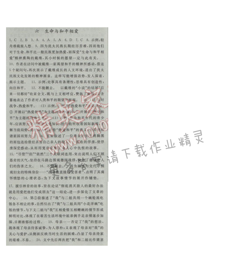 亮点给力提优课时语文九年级下册 第二单元 第六课