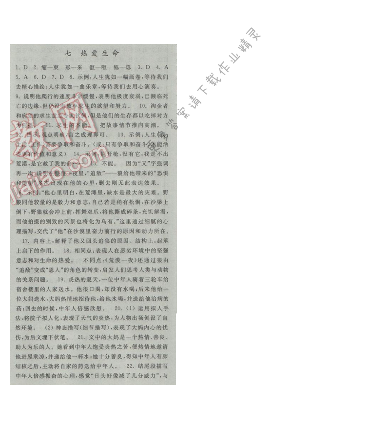 亮点给力提优课时语文九年级下册 第二单元 第七课
