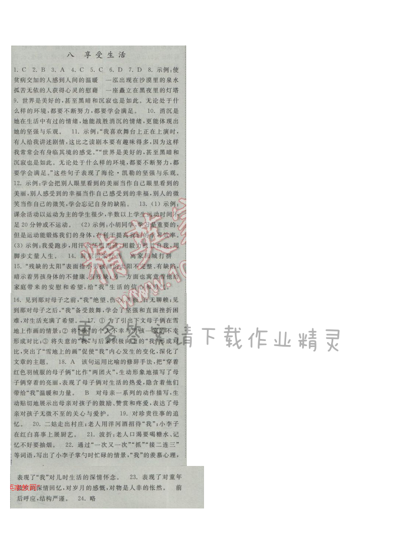 亮点给力提优课时语文九年级下册 第二单元 第八课