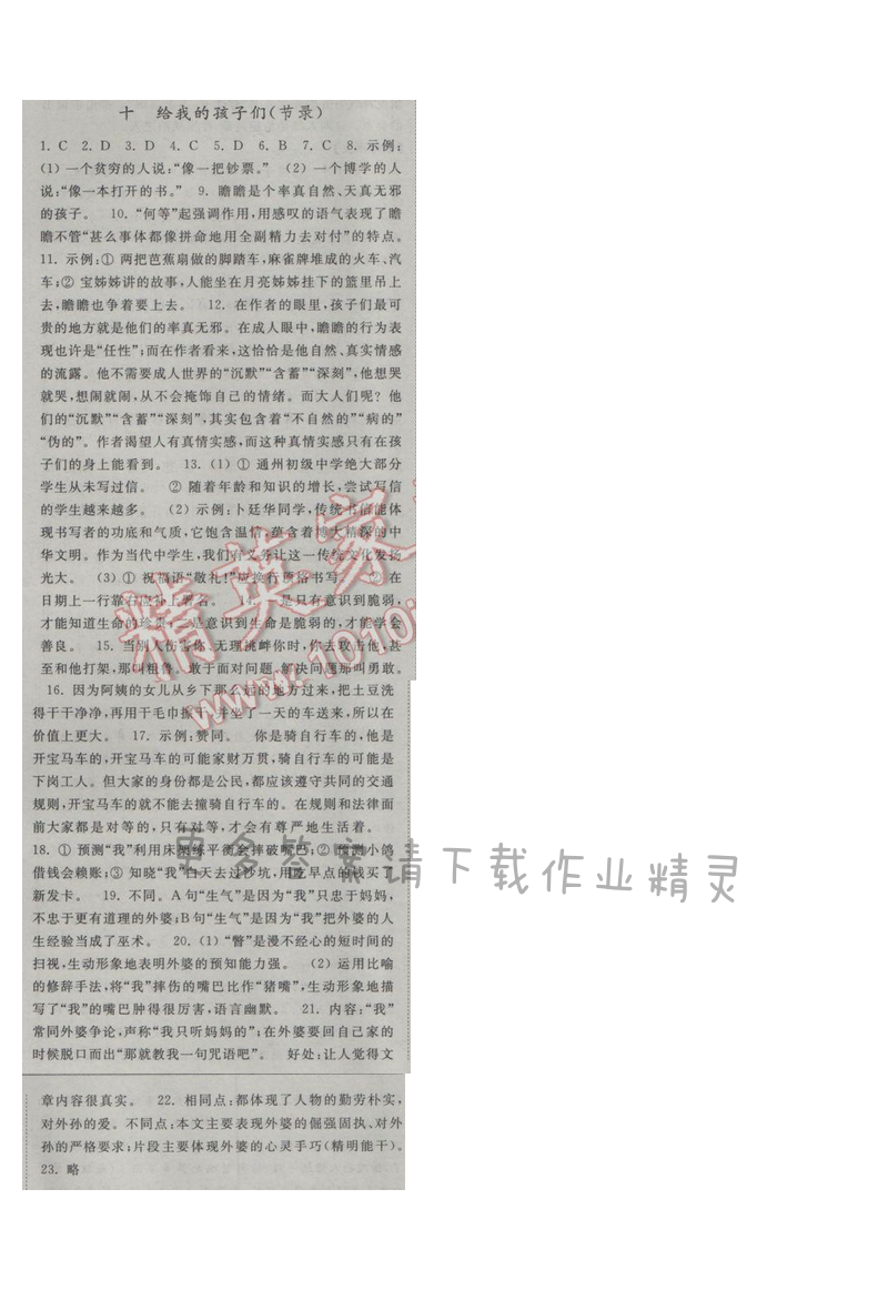 亮点给力提优课时语文九年级下册 第三单元 第十课