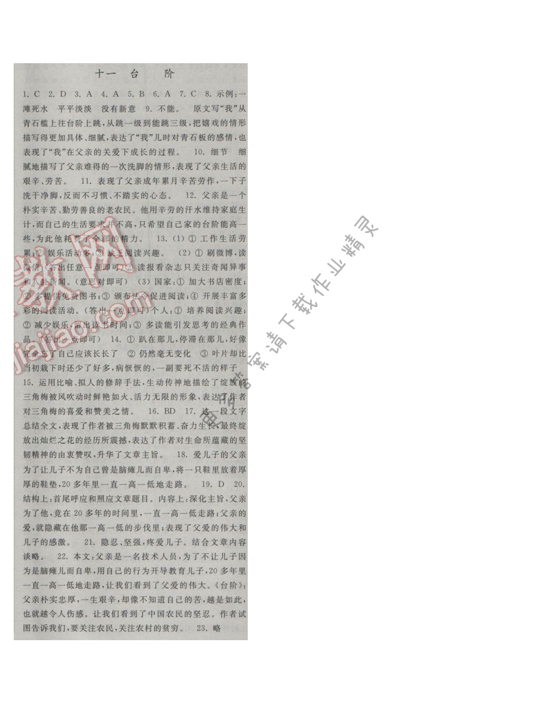 亮点给力提优课时语文九年级下册 第三单元 第十一课