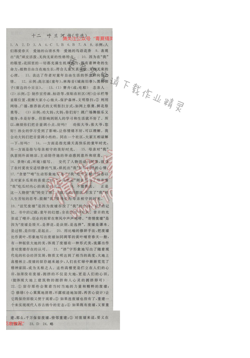 亮点给力提优课时语文九年级下册 第三单元 第十二课