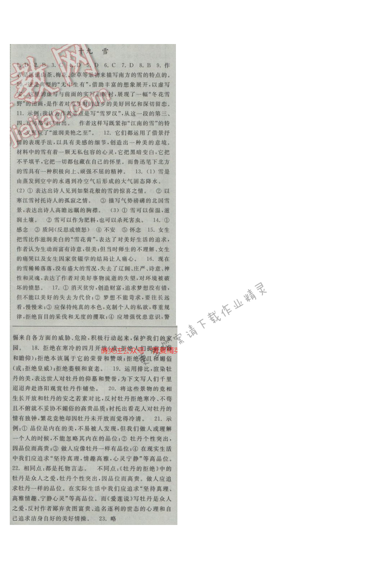 亮点给力提优课时语文九年级下册 第五单元 第十九课