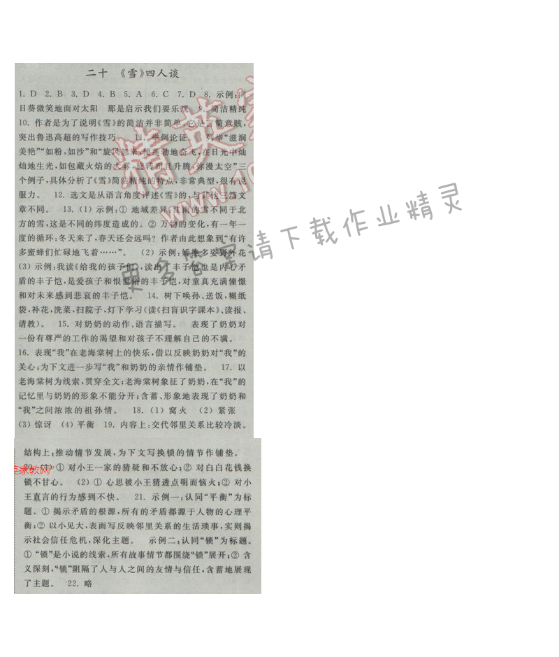 亮点给力提优课时语文九年级下册 第五单元 第二十课