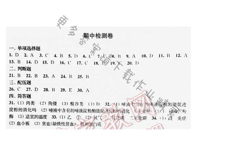 伴你学七年级生物下册苏教版期中检测卷