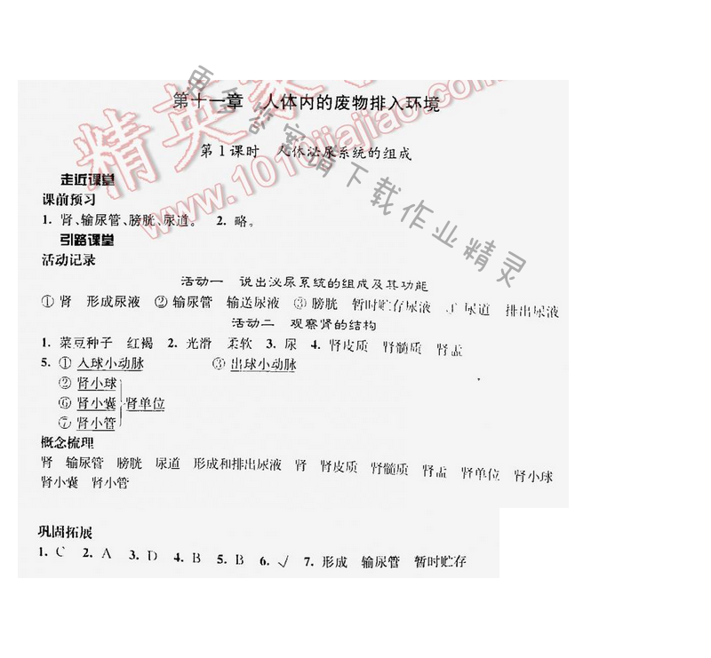 伴你学七年级生物下册苏教版第十一章第1课时