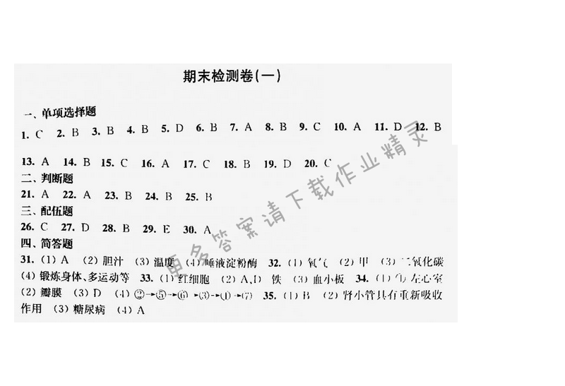 伴你学七年级生物下册苏教版期末检测卷（一）
