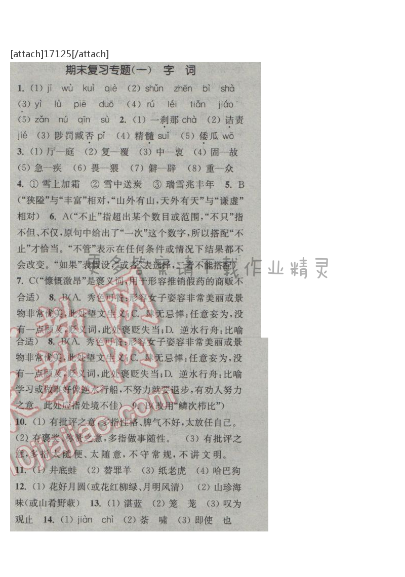 通城学典课时作业本九年级语文下册江苏版期末复习专题（一）