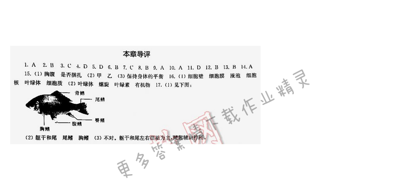 2016伴你学七年级生物下册苏科版 第10章 本章导评