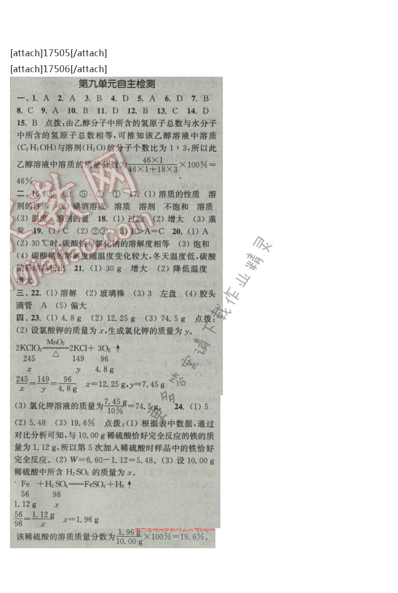 通城学典课时作业本九年级化学下册人教版 第九单元自测卷