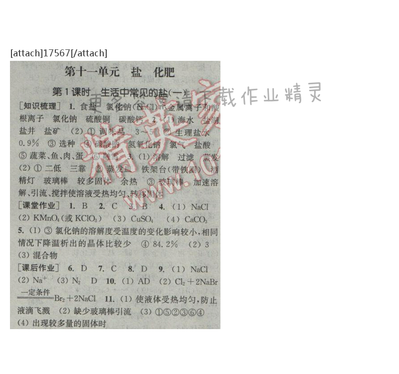 通城学典课时作业本九年级化学下册人教版 第十一单元 第一课时