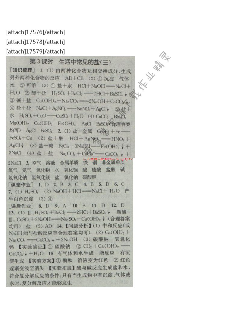 通城学典课时作业本九年级化学下册人教版 第十一单元 第三课时