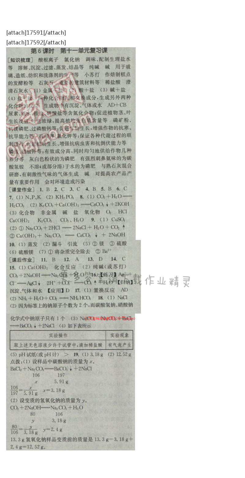 通城学典课时作业本九年级化学下册人教版 第十一单元 第六课时